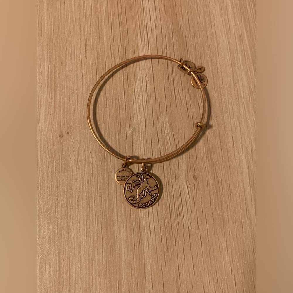 Preloved Alex and Ani Scorpio Charm Bracelet